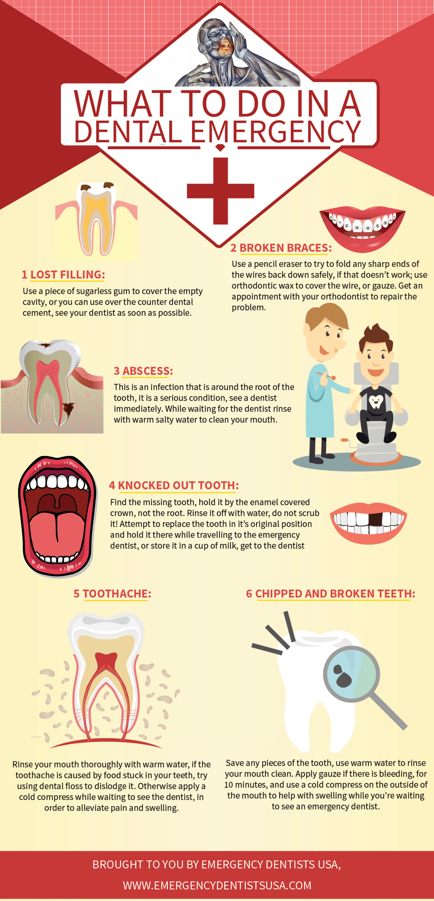 Dental Emergencies Infographic